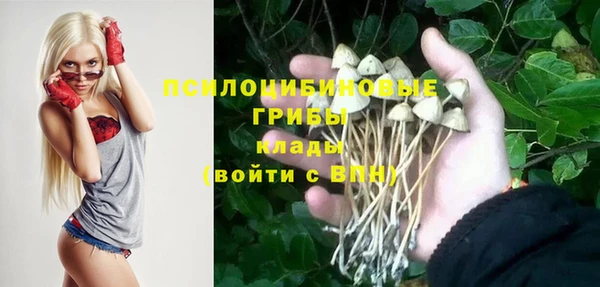 МДПВ Новодвинск