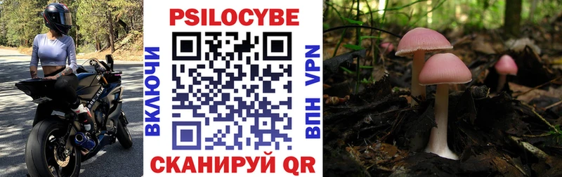 Галлюциногенные грибы Magic Shrooms  Купить где  Торопец 